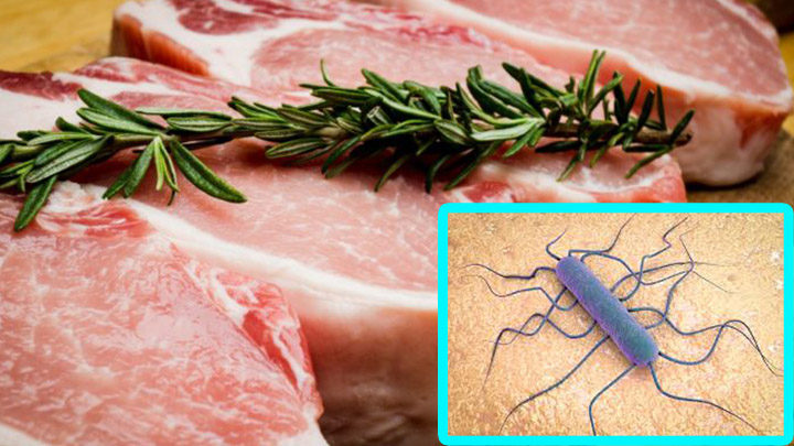 listeria in spagna