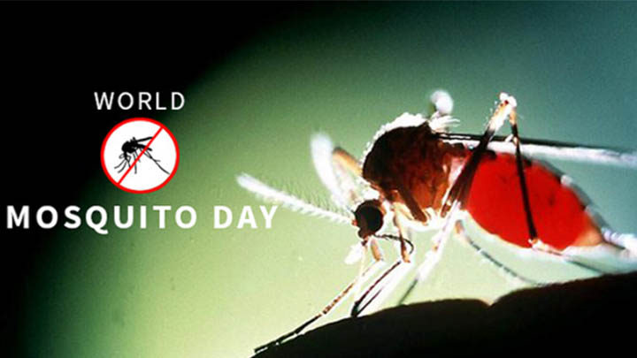 world mosquito day