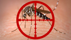 Zanzare virus mortale
