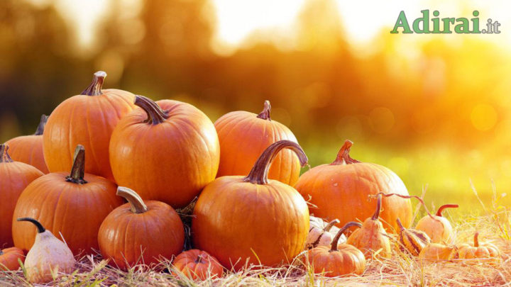 proprietà della zucca