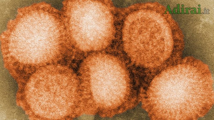 H1N1 influenza 2019 virus vaccino aifa