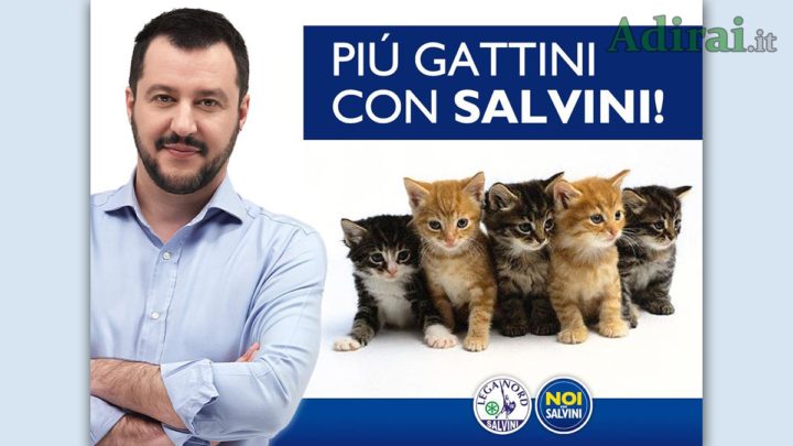 matteo salvini ultime news