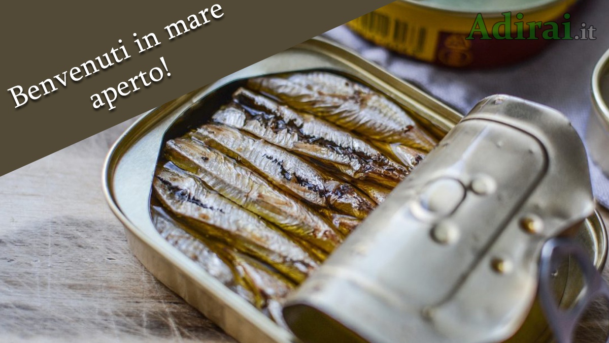 manifesto sardine movimento