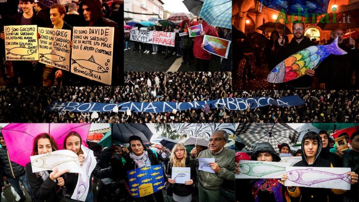 sondaggi politici movimento delle sardine