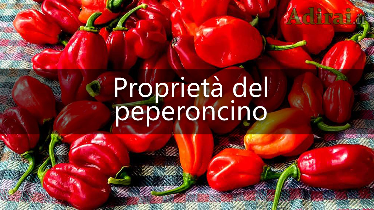 habanero proprietà del peperoncino