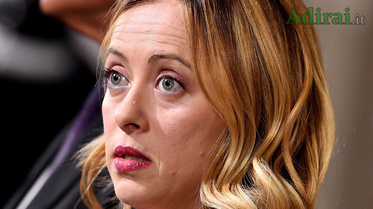 giorgia meloni sondaggi politici 2020