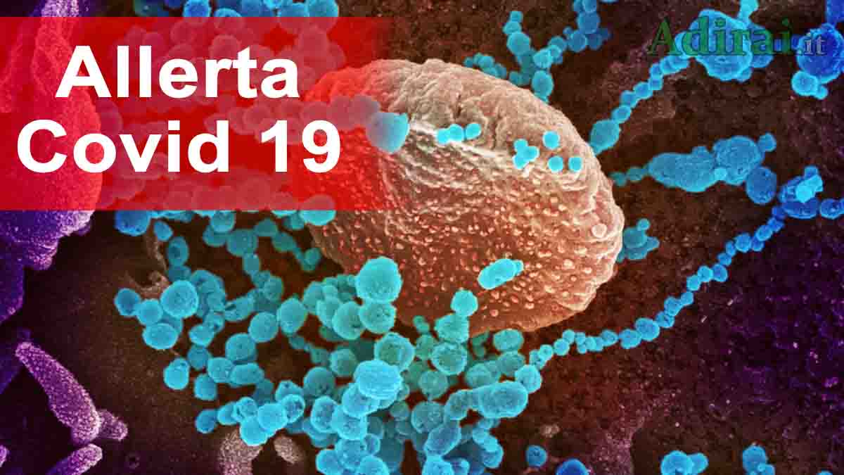 coronavirus sars cov 2