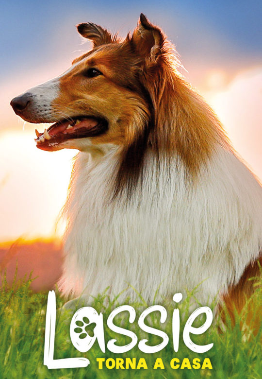 film Lassie torna a casa 2021