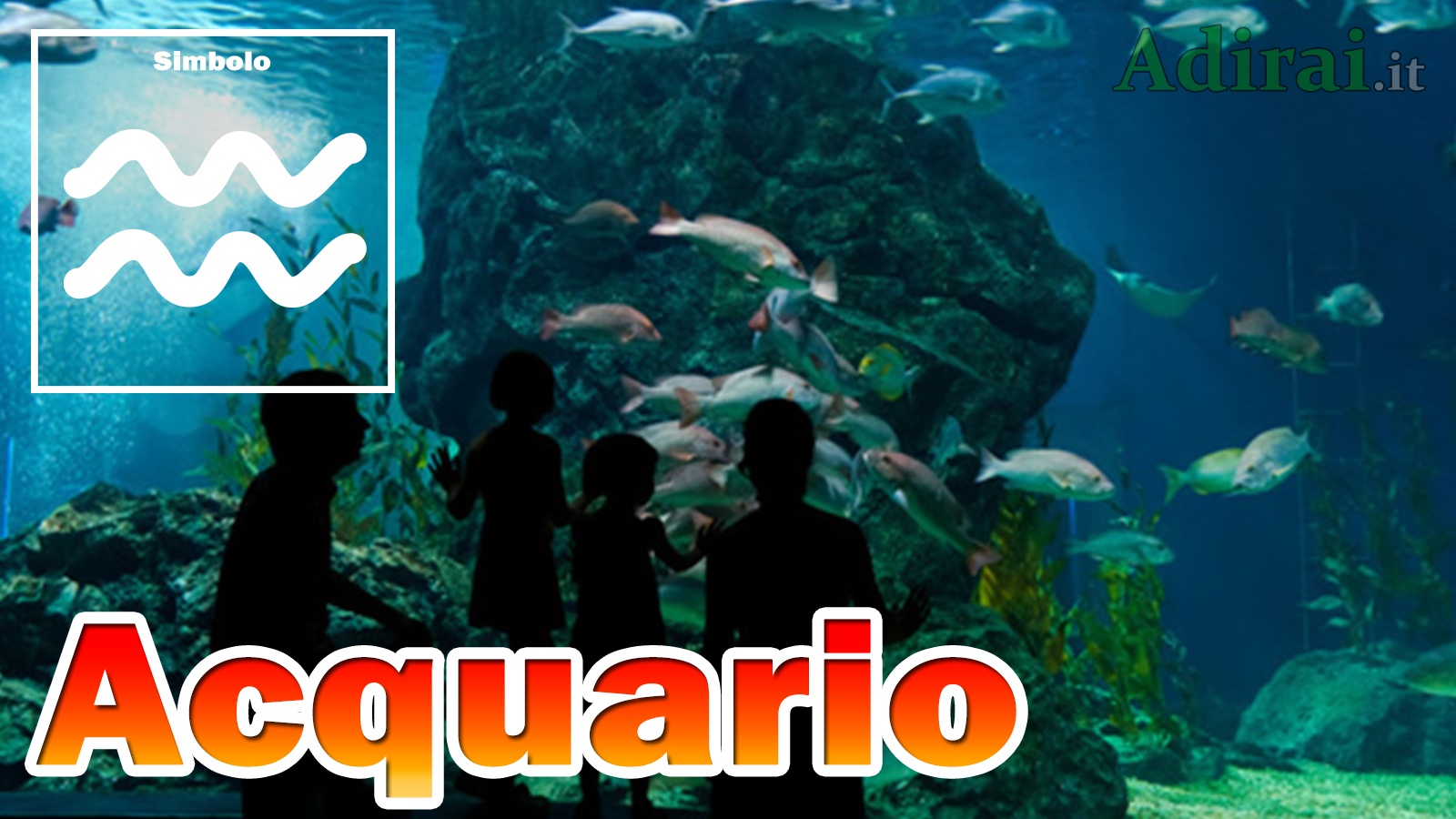 acquario segno zodiacale caratteristiche simbolo