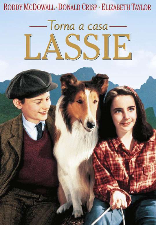 Torna a casa, Lassie! 1943