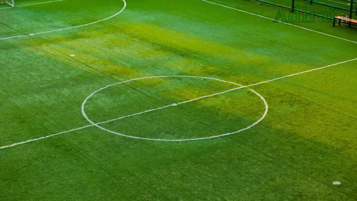 calcio dal napoli alla fiorentina